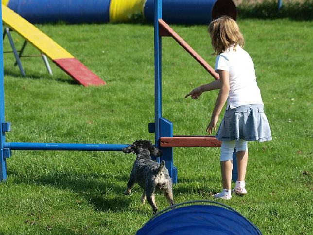 10 Jahre "Tiere als therap. Begleiter e.V."